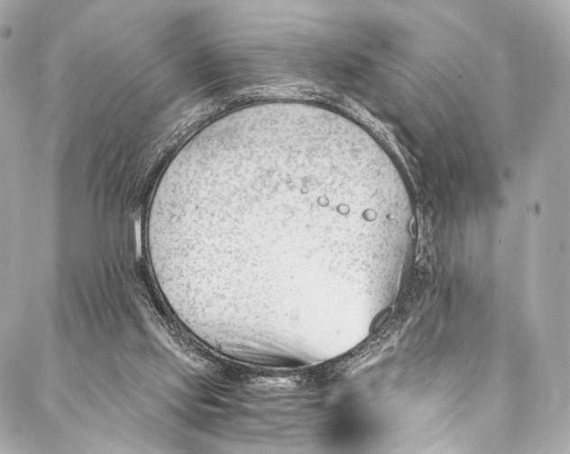 X0000087030061200705071545