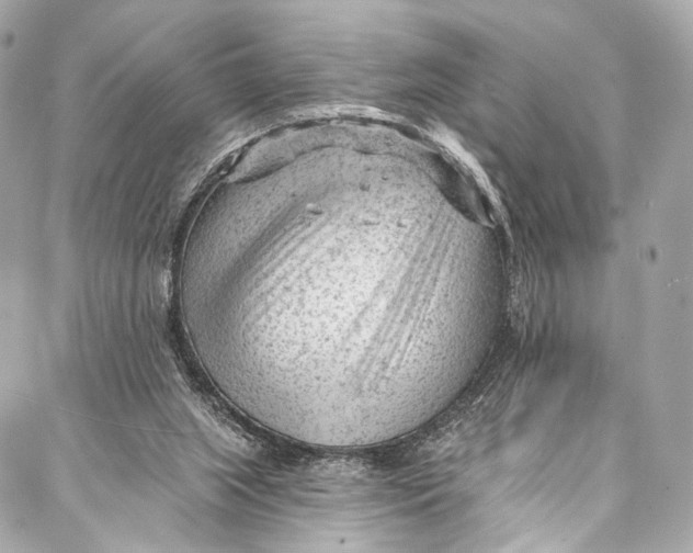 X0000087030063200705071545