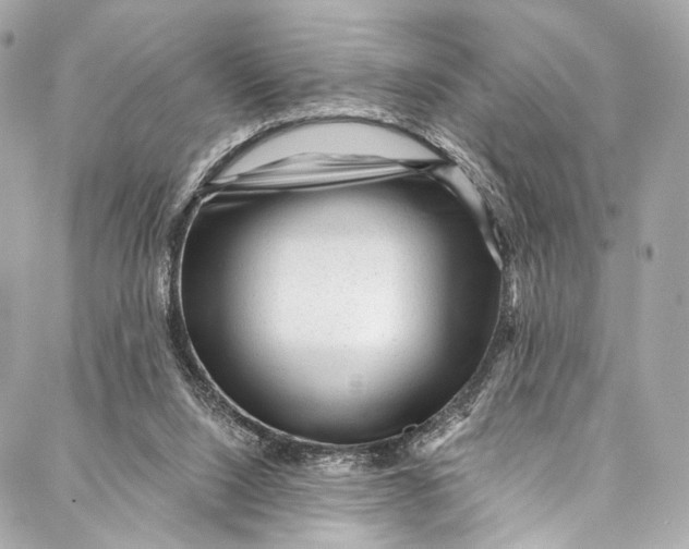 X0000087030064200705071545