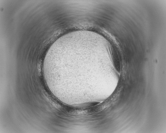 X0000087030065200705071545