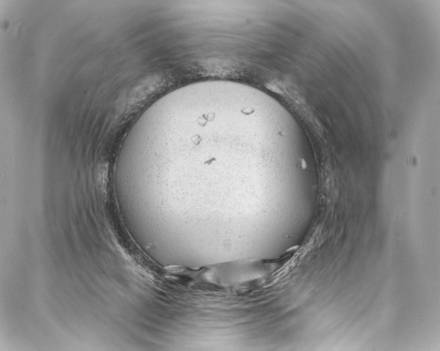 X0000087030066200705071545