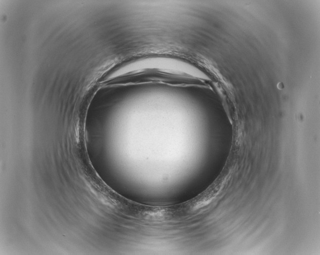 X0000087030068200705071545