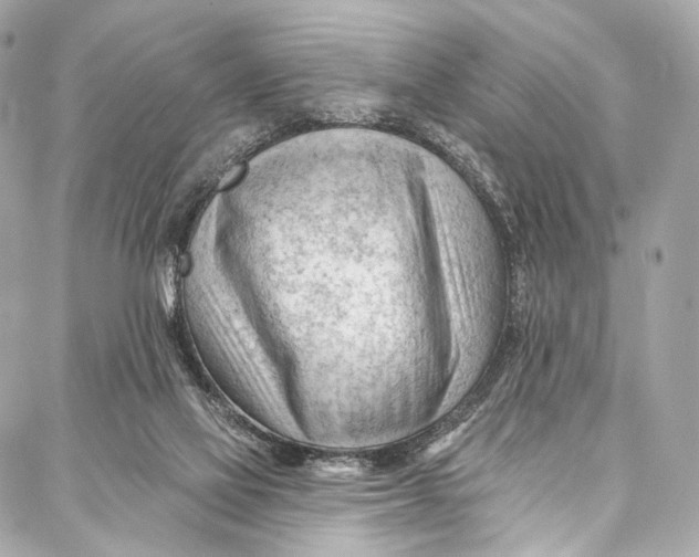 X0000087030069200705071545