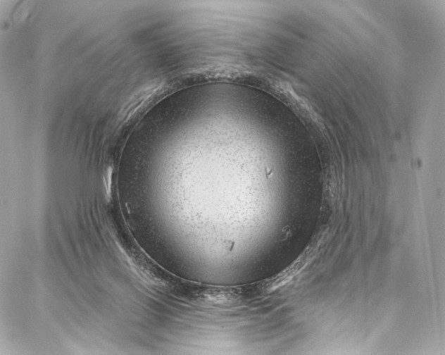 X0000087030070200705071545