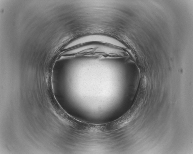 X0000087030072200705071545