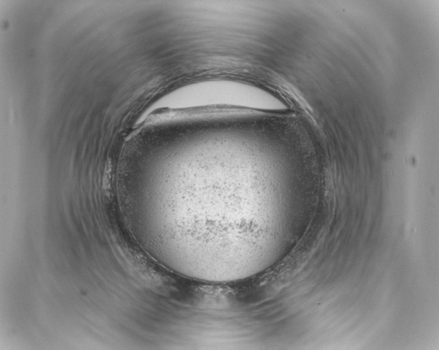 X0000087030073200705071545