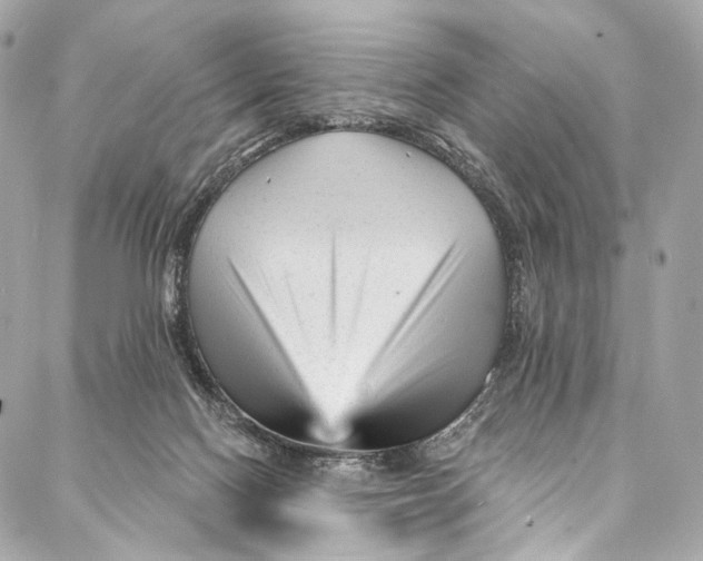 X0000087030074200705071545