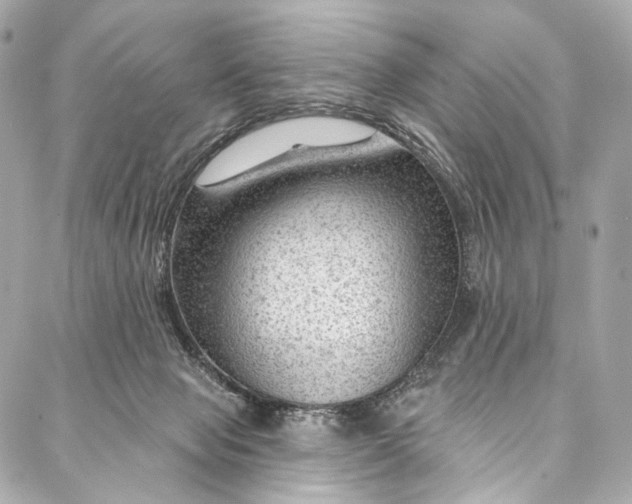 X0000087030077200705071545