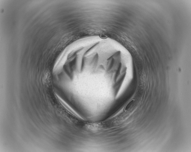 X0000087030079200705071545