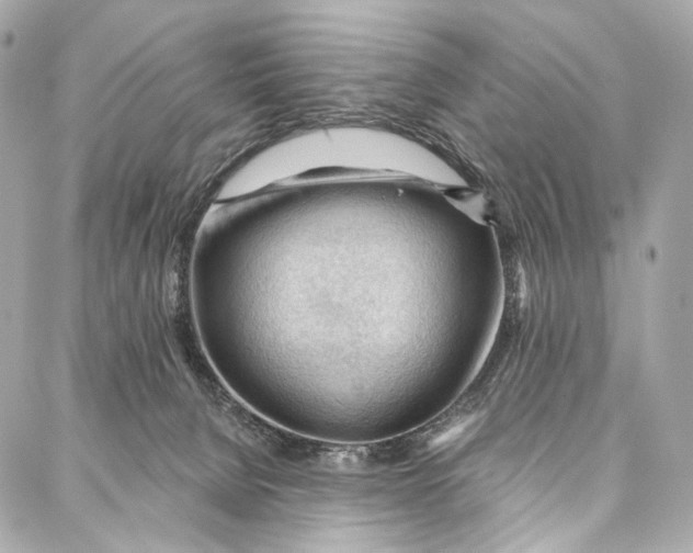 X0000087030080200705071545