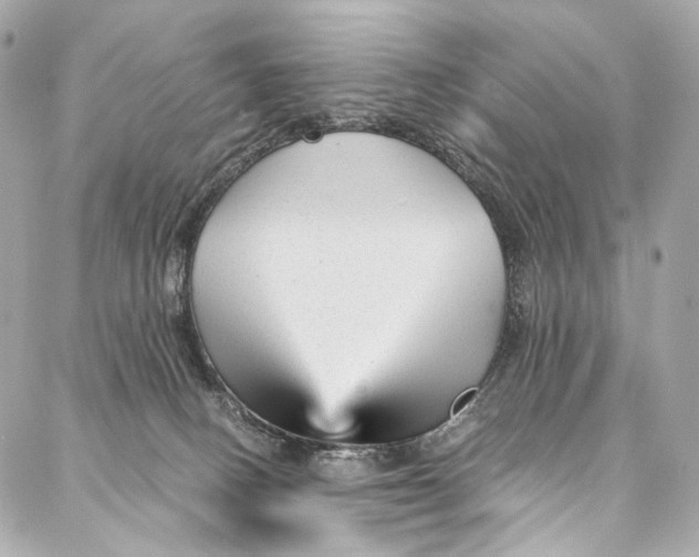 X0000087030082200705071545