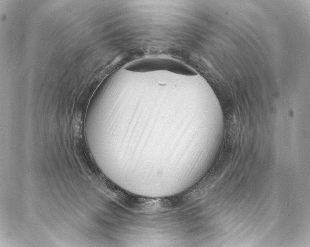 X0000087030083200705071545