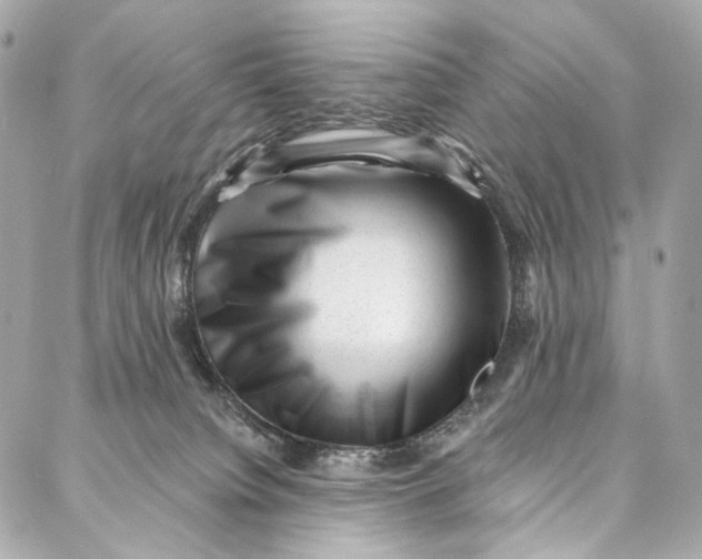 X0000087030084200705071545