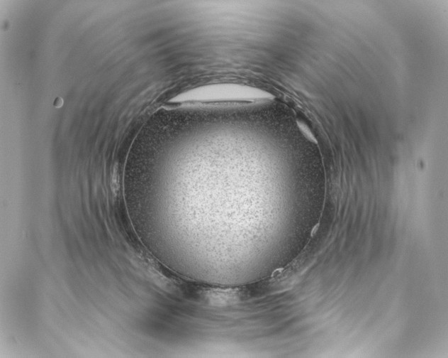 X0000087030085200705071545