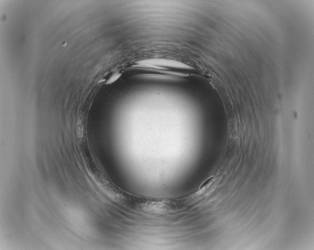 X0000087030086200705071545