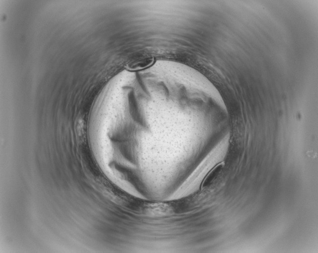 X0000087030087200705071545