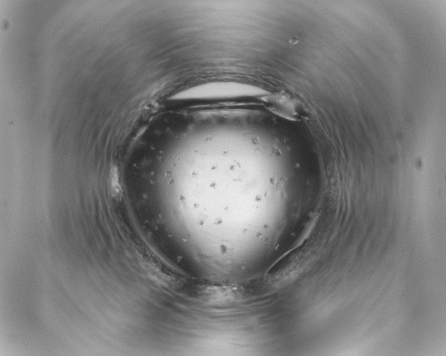 X0000087030089200705071545