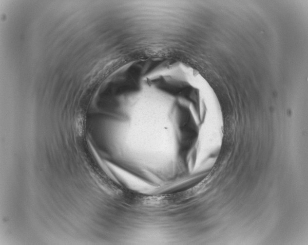 X0000087030090200705071545