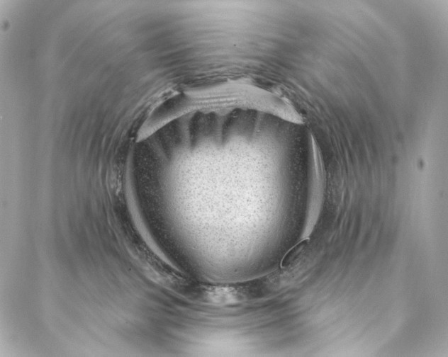 X0000087030091200705071545