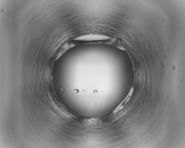 X0000087030092200705071545