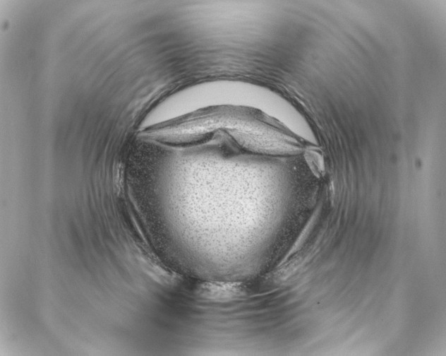 X0000087030093200705071545