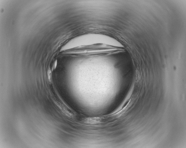 X0000087030094200705071545