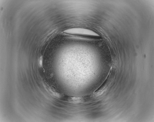 X0000087030095200705071545