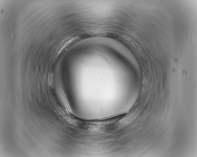 X0000087030096200705071545