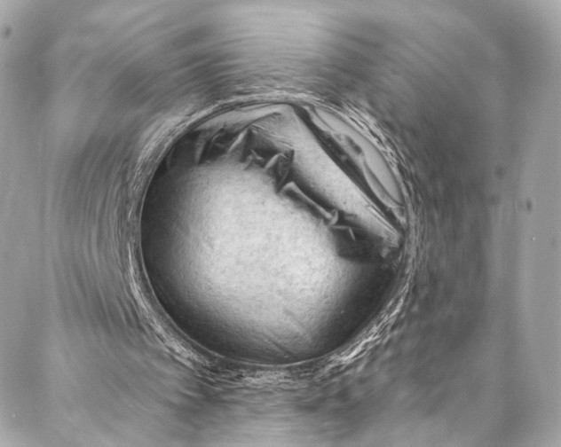 X0000087030097200705071544