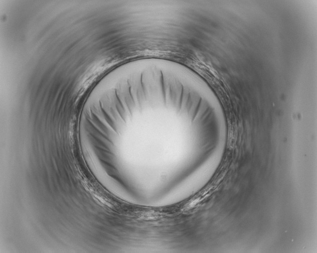 X0000087030098200705071544