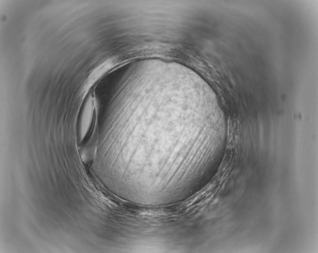 X0000087030099200705071544