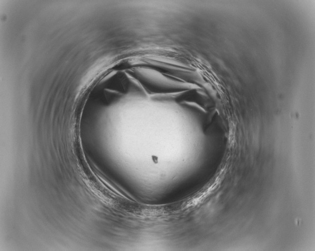 X0000087030101200705071544