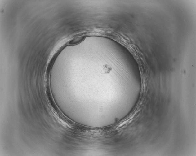 X0000087030102200705071544