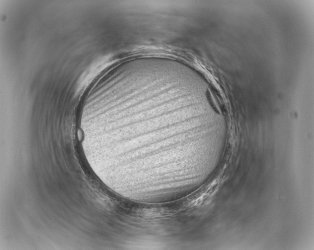 X0000087030103200705071544