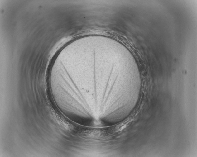 X0000087030104200705071544