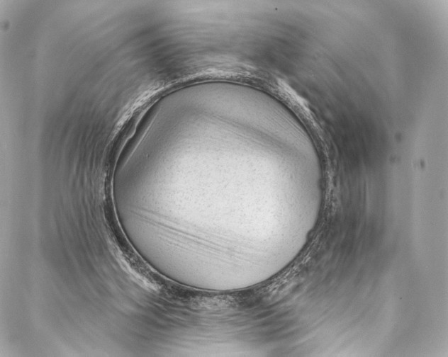 X0000087030106200705071544