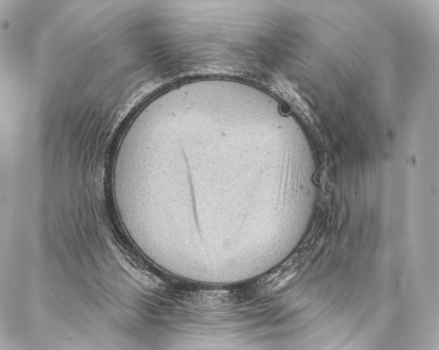 X0000087030108200705071544