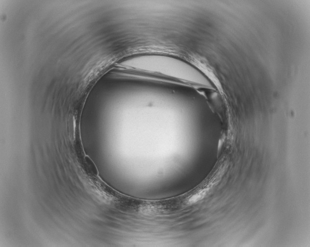 X0000087030109200705071544