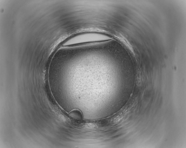 X0000087030111200705071544