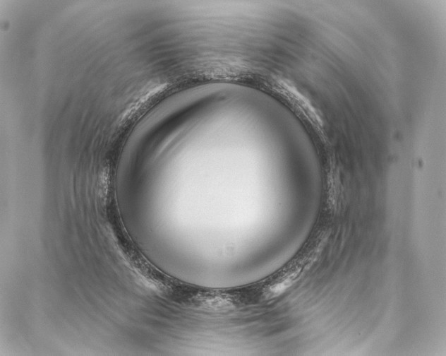 X0000087030113200705071544