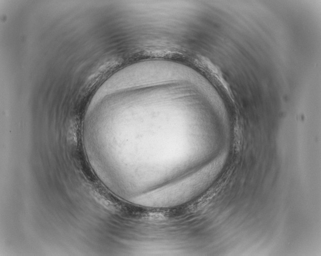 X0000087030114200705071544