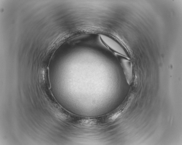 X0000087030117200705071544