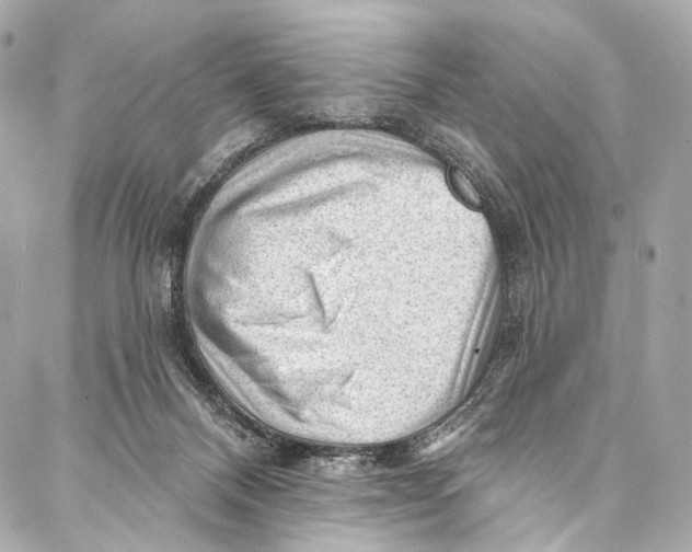 X0000087030120200705071544