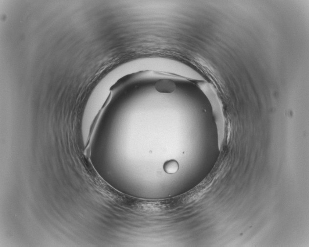 X0000087030121200705071544