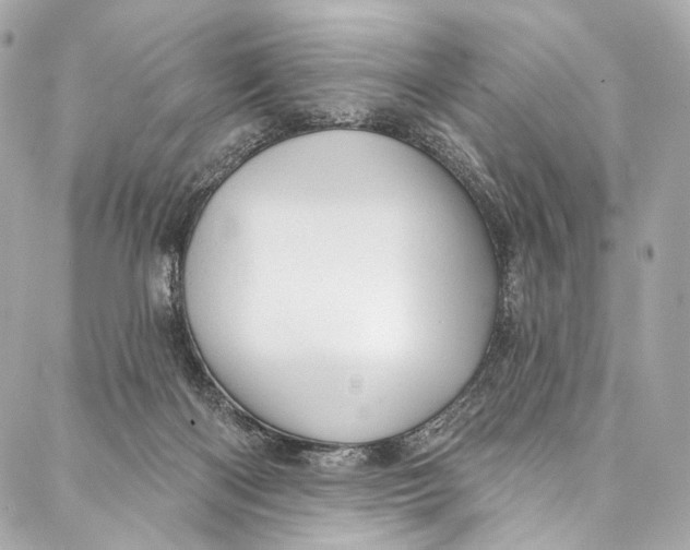 X0000087030122200705071544