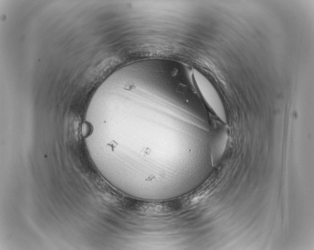 X0000087030123200705071544