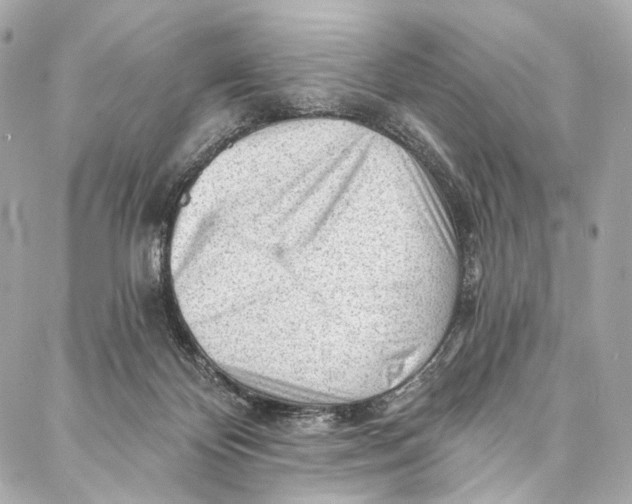 X0000087030124200705071544