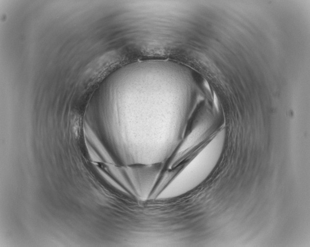 X0000087030125200705071544