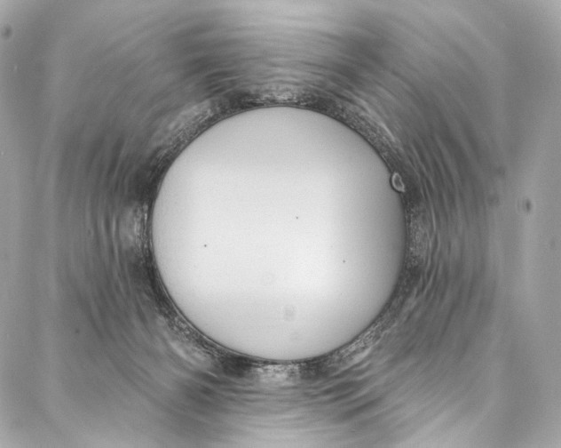 X0000087030126200705071544