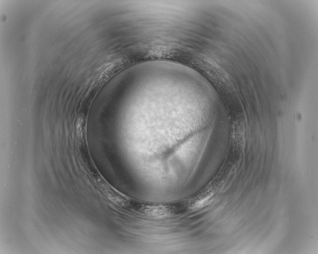 X0000087030127200705071544